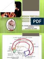 Tarea n18 (3) Anatomia Topográfica de La Cabeza Nohelia Mamanitaboada 1er Año g3