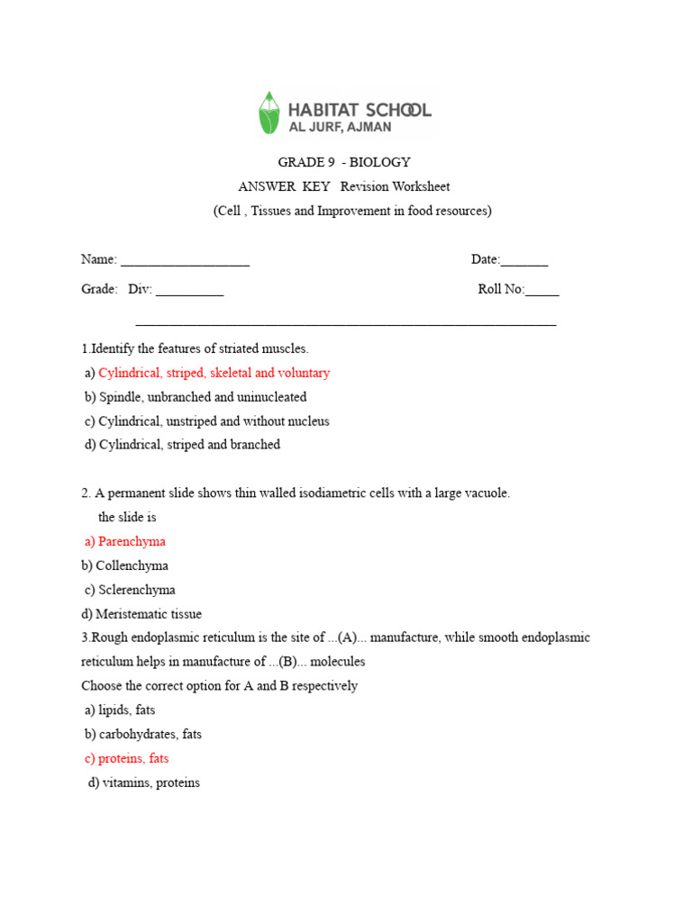 Answer KEY Revision Worksheet PDF Soil Fertilizer