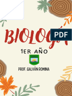 Biologia 1er Año Rocamora - 101736