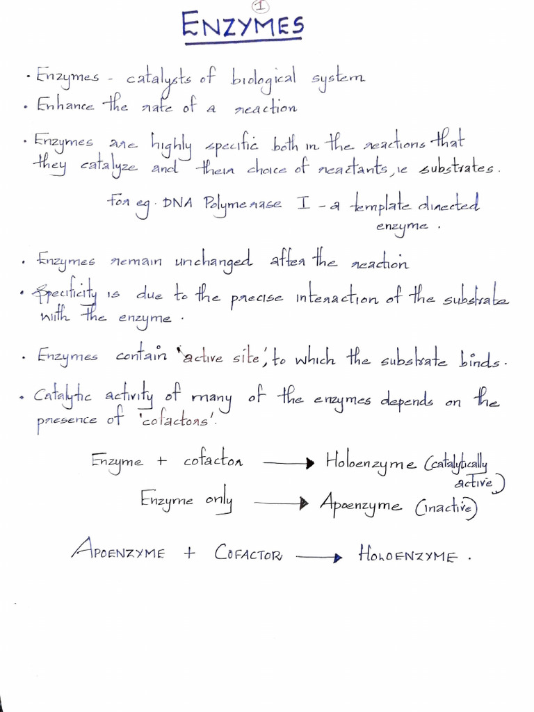 Enzymes Pdf Teaching Methods Materials