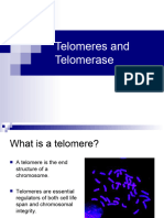 Telomeres and Telomerase in Cancer