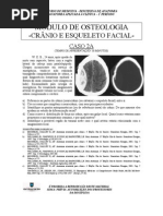 EDII - módulo de Osteologia Do Crânio e Esqueleto Facial