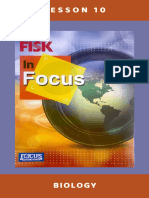 In Focus - Lesson 10