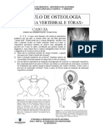 EDIII- módulo de Osteologia Da Coluna Vertebral e tórax