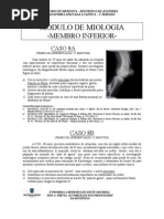 EDVIII - módulo de Miologia Do Membro Inferior