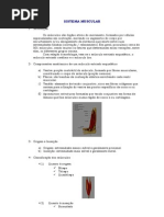 Introdução Ao Sistema Muscular