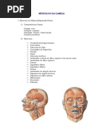 Músculos Da Cabeça e Pescoço