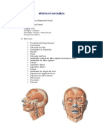 Músculos Da Cabeça e Pescoço