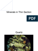 340 Mineral ThinSection