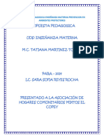 Pro-Ped-Enseñanza Materna