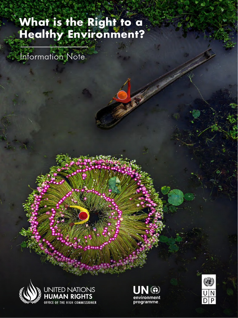 Right to a Healthy Environment Explained | PDF | Environmental ...