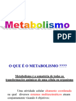 aula-1 - -introducao-ao-metabolismo