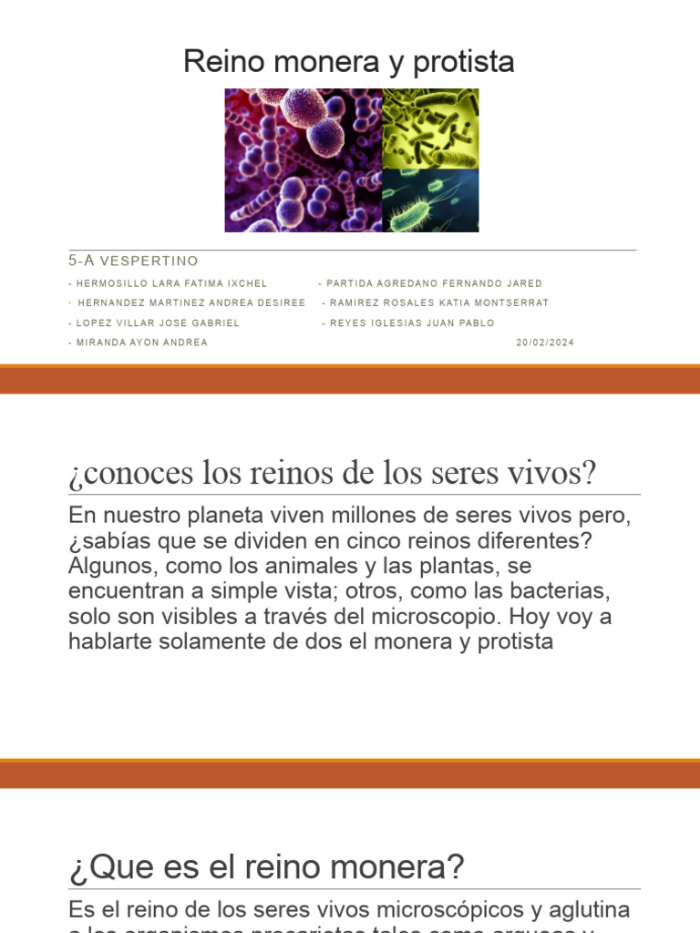 Reino Monera y Protista | PDF | Las bacterias | Biología Celular)