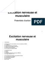 Excitation Nerveuse Et Musculaire