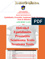Diskusi Kuliah Epididimitis, Prostatitis, Seminoma, Teratoma & Hidrokel 2024