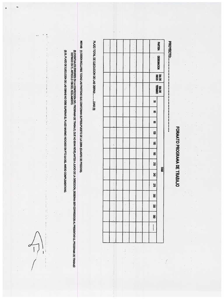 Formato programa de trabajo exigido segun anexo complementario pdf