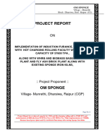 Om Sponge Plant Modification WHRB