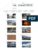 Natural Disasters ESL Worksheet