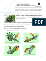 697101procesos de Producción - Gel Desinfectante Con Aloe Vera