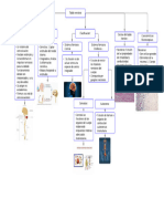 Diagrama en Blanco