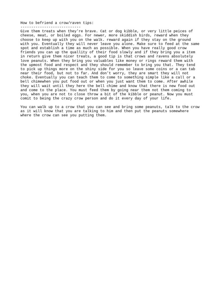 How To Befriend A Crow Or Raven Pdf