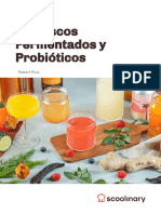 ES Recetario Refrescos Fermentados