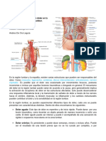 Estructuras Que Pueden Doler en La Espalda o Región Lumbar