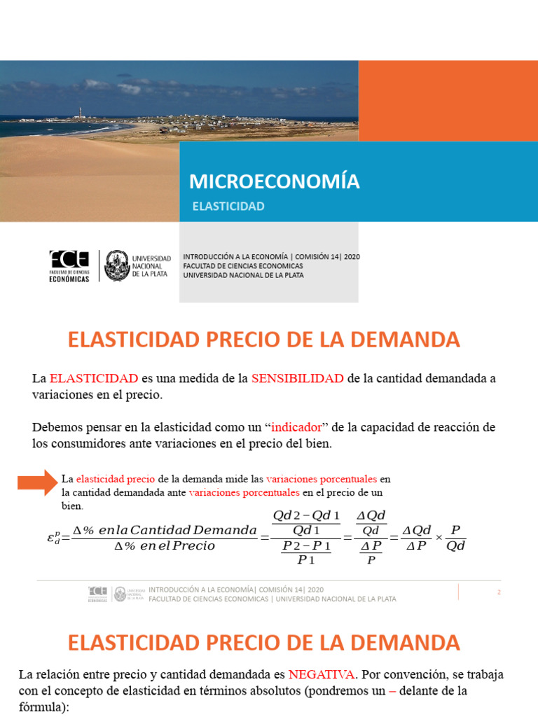 Elasticidad Precio de la Demanda | PDF | Elasticidad (economía) | La ...