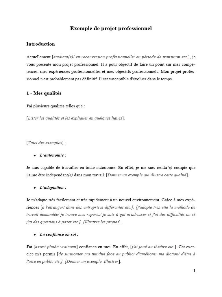 Exemple de projet professionnel détaillé | PDF | Psychologie