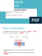 L18 Polypeptide Synthesis