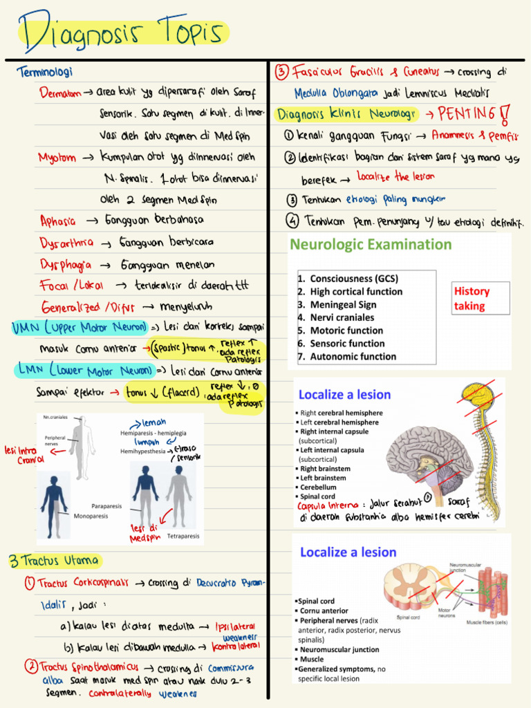 Diagnosis Topis Neurologi dan Klinik | PDF