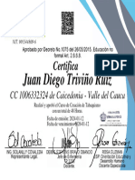 Diploma 1006332324