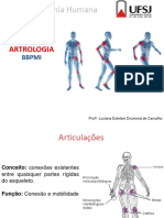 Anatomia Articular BBPMI 2017