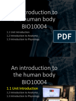 An Introduction To The Human Body