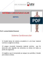 Sistema Cardiovascular BBPM1 2017