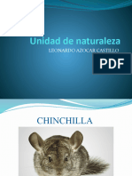 Leonardo Unidad Naturaleza Chinchilla
