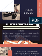 Presentasion Panam