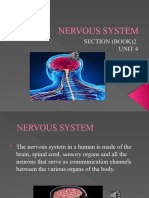 Presentation - The Nervous System