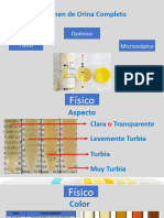 Laboratorio 4 Orina