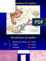 2020-ISPP-Metabolismo de Lipidos