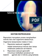 Presentation REPRODUKSI MANUSIA