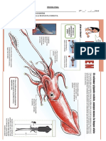 Diagnostica Primero-Prueba Final