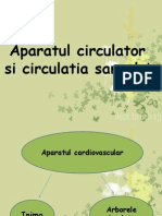 Sistemul Circulator