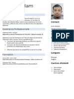 Modele de CV Simple Elegant