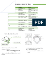 Clase 6 Desarrollo Psicomotor Típico