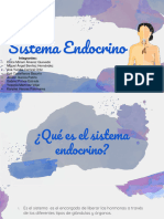 Sistema Endocrino