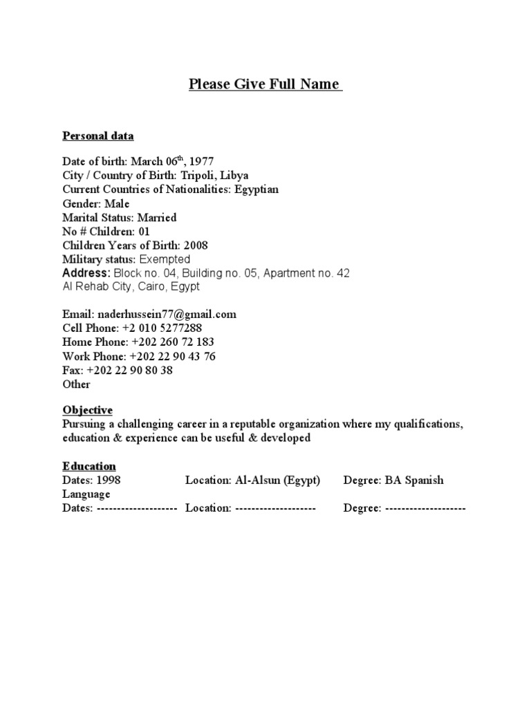 CV Format Egypt Travel Agency