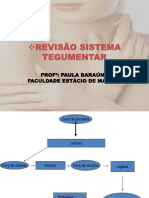 Sistema Tegumentar-Resumida