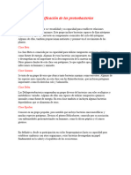 Clasificación de Las Proteobacterias