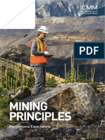 10 Mining-Principles ICMM
